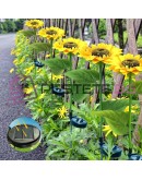 Градинска LED лампа Слънчоглед със соларен панел водоустойчива 8 светодиода